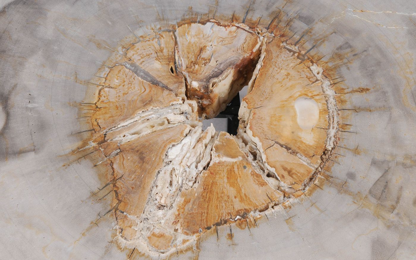 Sofabord i lyse nuancer med markant kerne