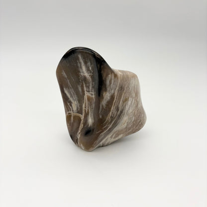 Skulptur i forstenet træ