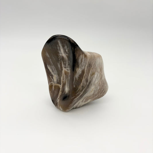 Skulptur i forstenet træ