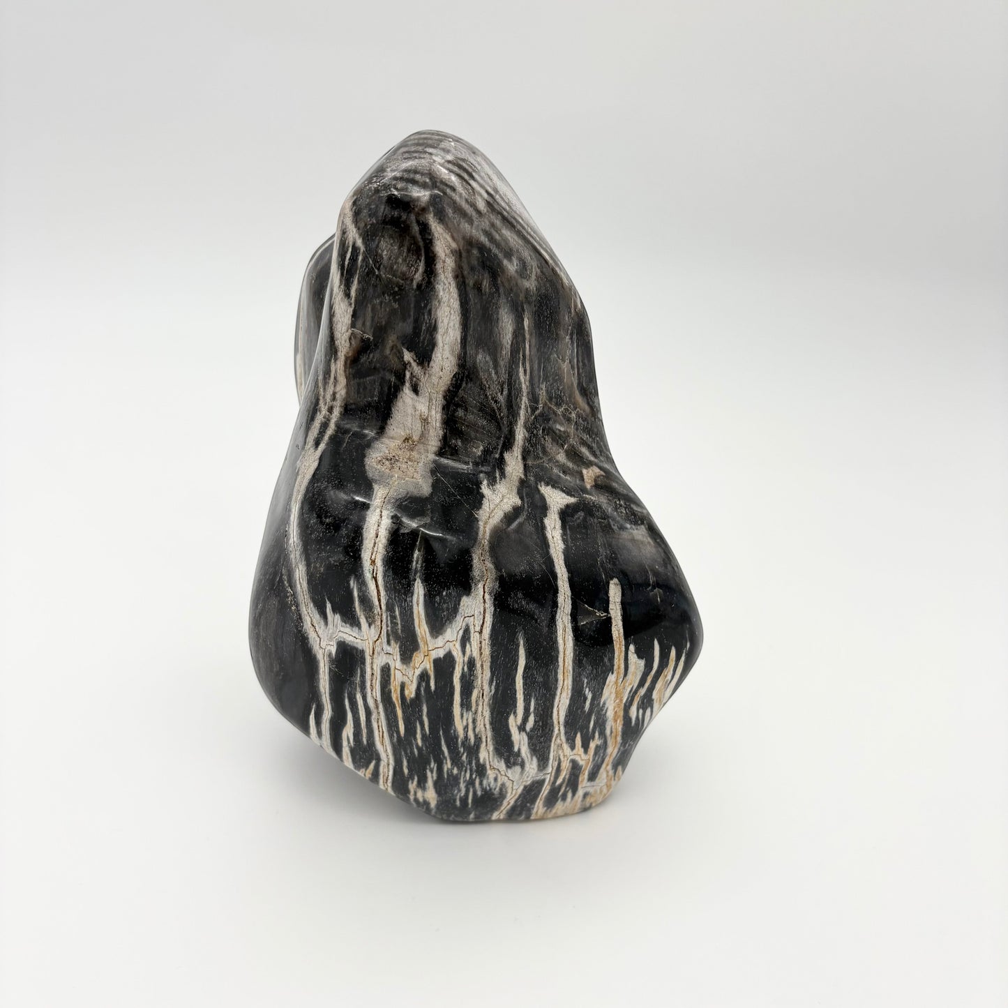 Skulptur i forstenet træ