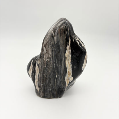 Skulptur i forstenet træ