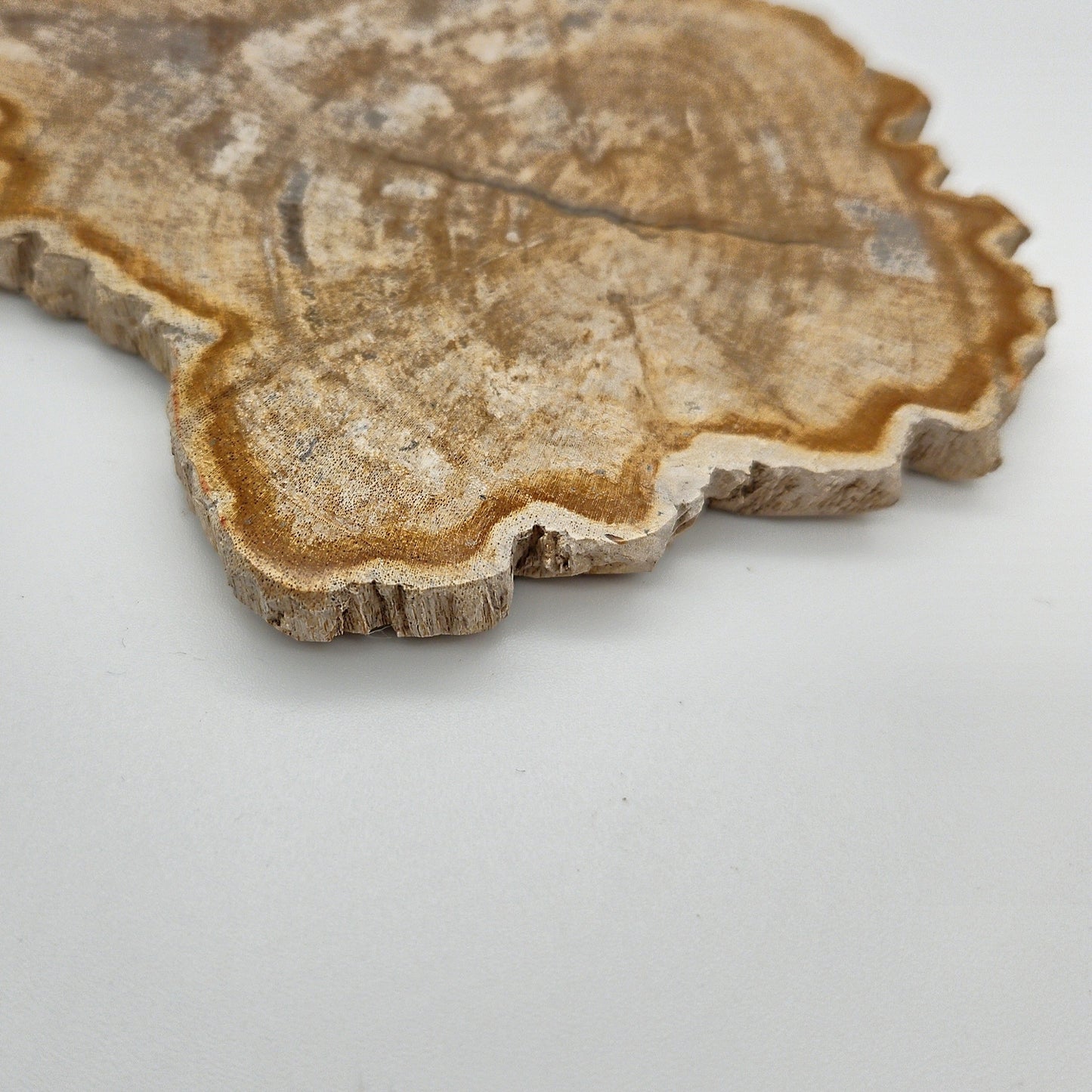 Skulpturel bordskåner