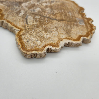 Skulpturel bordskåner