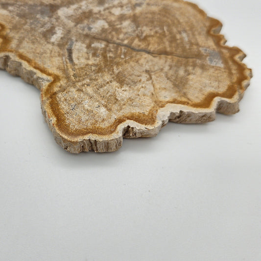 Skulpturel bordskåner