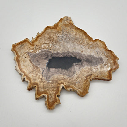 Skulpturel bordskåner