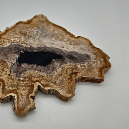 Skulpturel bordskåner