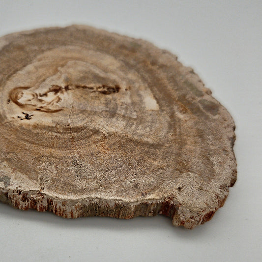 Skulpturel bordskåner