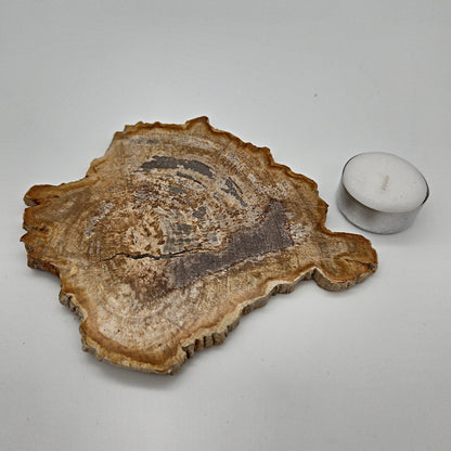 Skulpturel bordskåner