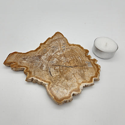 Skulpturel bordskåner