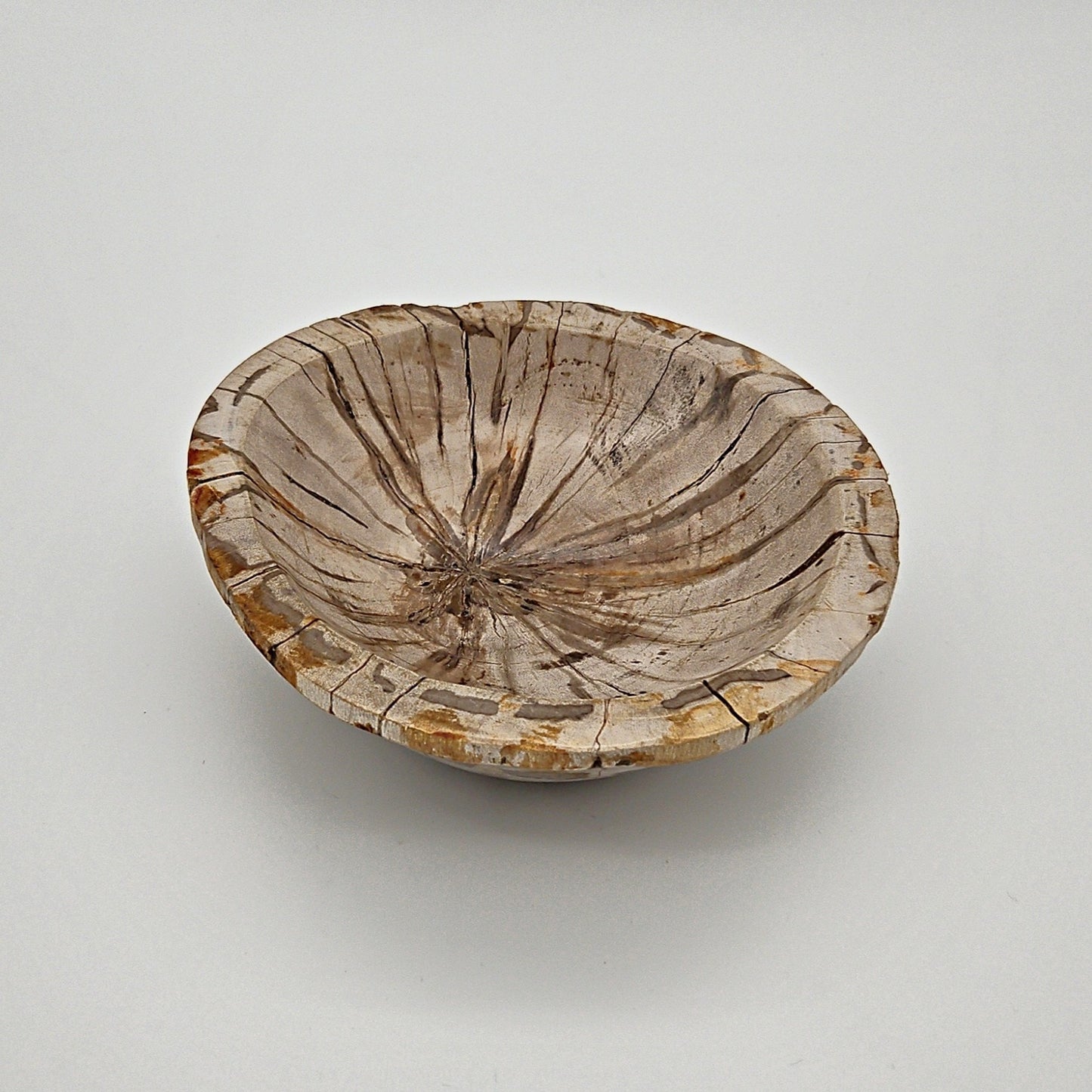 Lys opbevaringsskål