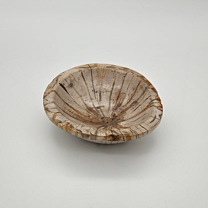 Lys opbevaringsskål